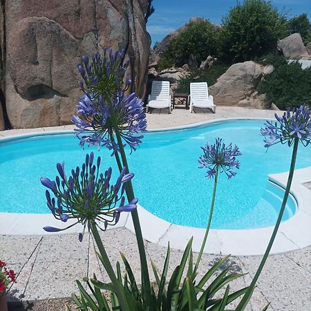 Villa Majore Beb Con Piscina Privata Rena Majore Exterior photo