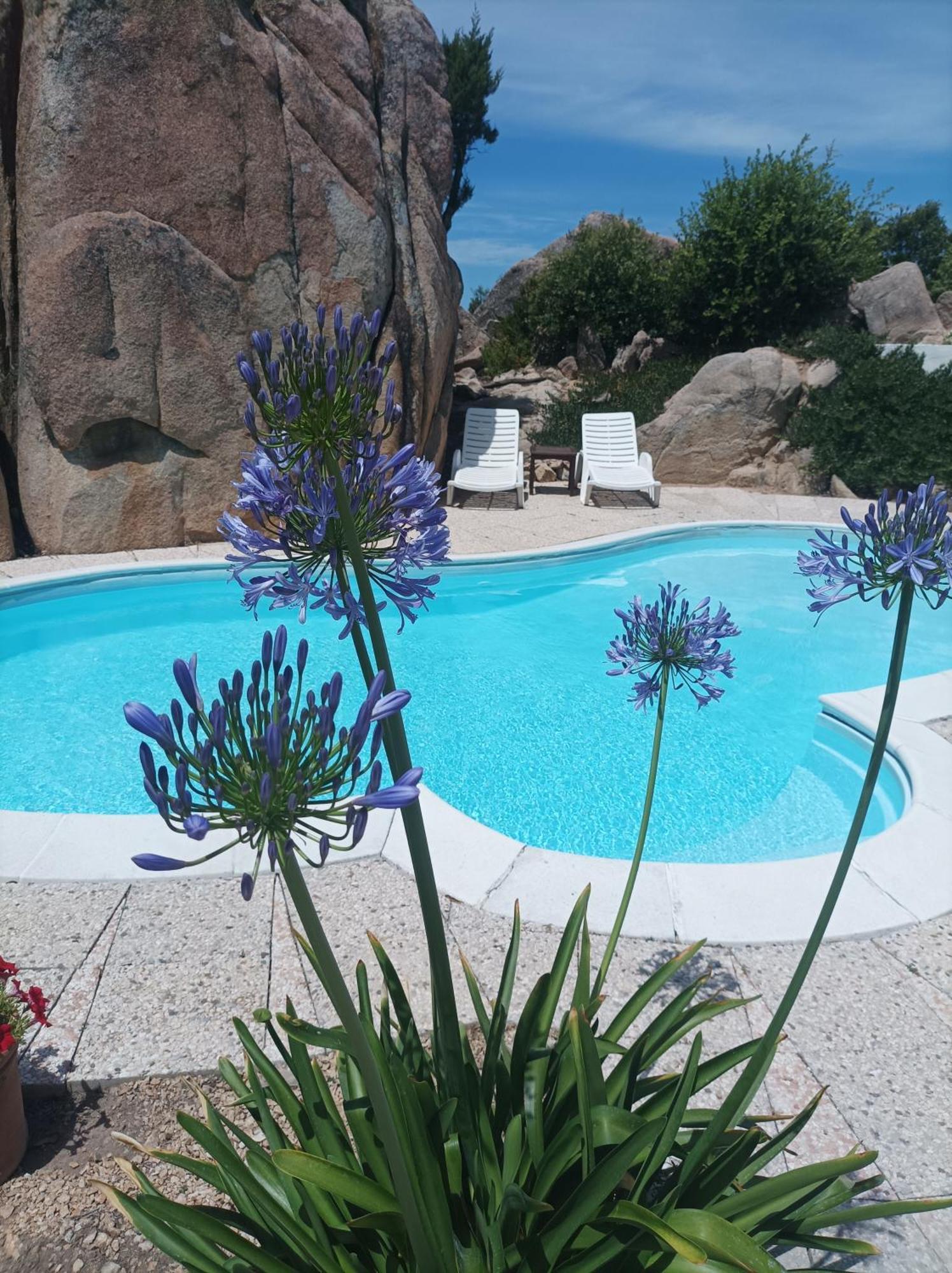 Villa Majore Beb Con Piscina Privata Rena Majore Exterior photo